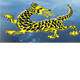 Dragon Phoenix Motel amp Restuarant - Kingaroy Accommodation