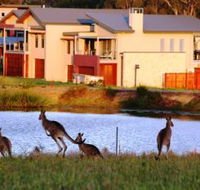 Grand Mercure The Vintage Hunter Valley - Kingaroy Accommodation