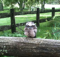 Milton Park - Kingaroy Accommodation