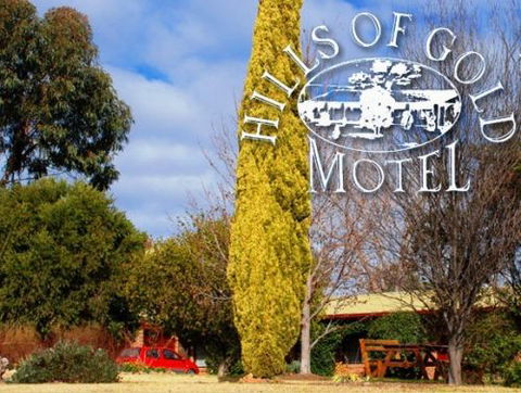 Hills Of Gold Motel - Kingaroy Accommodation 3
