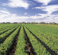 Diplomat Motel amp Restaurant - Kingaroy Accommodation