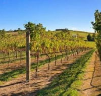 DeVine Escape - Kingaroy Accommodation