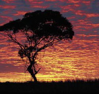 Kimba Caravan Park amp Motel - Kingaroy Accommodation