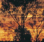 Tilmouth Well - Kingaroy Accommodation