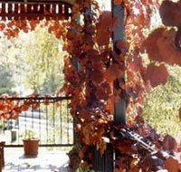 The Vines Motel amp Cottages - Kingaroy Accommodation