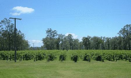 Copper Country Motor Inn - Kingaroy Accommodation 3