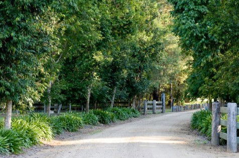 The Plantation - Kingaroy Accommodation 0