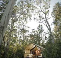 Paperbark Camp