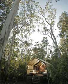 Paperbark Camp - Kingaroy Accommodation 0