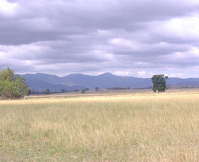 Sherwoods Cottage Farmstay - Kingaroy Accommodation 0