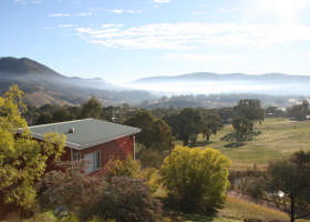 The Black Sparrow - Kingaroy Accommodation 0