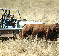 Bullo River Station - Kingaroy Accommodation