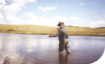 Tawonga Fishing Lodge - Kingaroy Accommodation 3