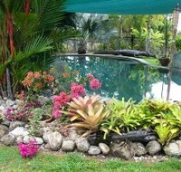 Daintree Wild Bed And Breakfast - Kingaroy Accommodation