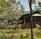 Arnhemland Barramundi Nature Lodge - Kingaroy Accommodation