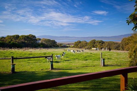 Coastal View Cabins - Kingaroy Accommodation 9