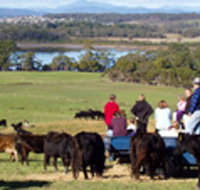 Bonny Brae - Kingaroy Accommodation