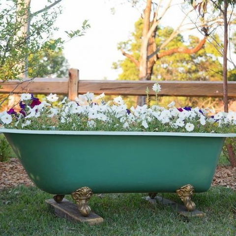 Milton Country Retreat - Kingaroy Accommodation 4