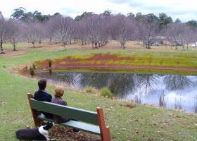 Chestnut Glade - Kingaroy Accommodation 0