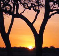 Coodardie Station Stay - Kingaroy Accommodation