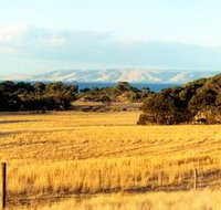 The Kona - Kingaroy Accommodation