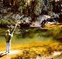 Markdale Homestead - Kingaroy Accommodation