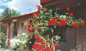 Epping Forest TAS Kingaroy Accommodation