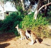 Avoca Dell Caravan Park - Kingaroy Accommodation