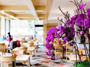 Pullman Melbourne On The Park - Kingaroy Accommodation 42