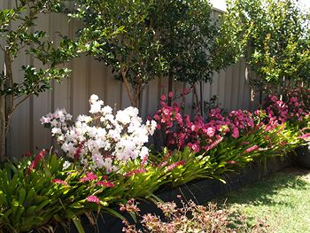 Pigeon House Motor Inn - Kingaroy Accommodation 28
