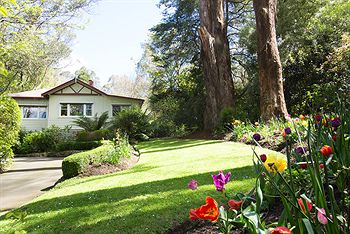 Adeline Bed And Breakfast - Kingaroy Accommodation 5