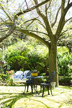 Adeline Bed And Breakfast - Kingaroy Accommodation 7