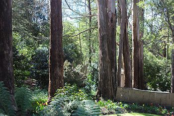 Adeline Bed And Breakfast - Kingaroy Accommodation 8