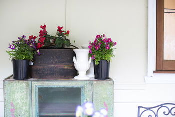 Adeline Bed And Breakfast - Kingaroy Accommodation 22