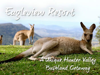 Eagleview Resort - Kingaroy Accommodation 45