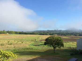 Eumundi Gridley Homestead B&B - Kingaroy Accommodation 6