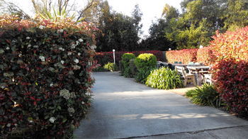 Branxton House Motel, Hunter Valley - Kingaroy Accommodation 13