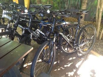 Noosa Backpackers Resort - Hostel - Kingaroy Accommodation 4