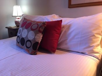 Boronia Lodge Burwood - Kingaroy Accommodation 39