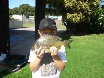 Edgewater Motel Ulladulla - Kingaroy Accommodation 10