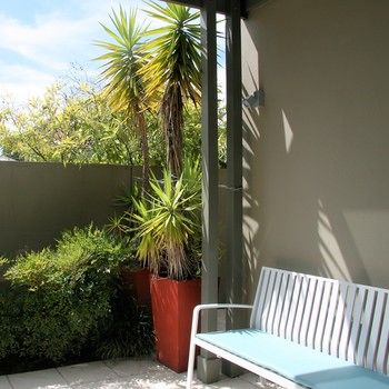 Chaucer Palms Boutique Bed & Breakfast - Kingaroy Accommodation 26