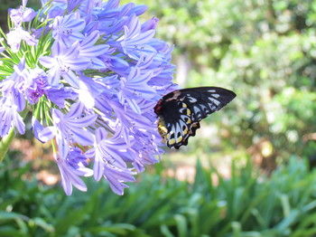 Amytis Gardens Retreat Spa And Cooking School - Kingaroy Accommodation 4