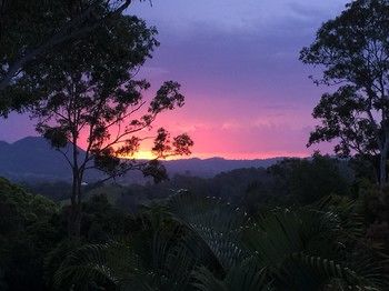 Phoenix Eumundi Bed & Breakfast - Kingaroy Accommodation 17