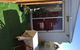 Sydney Executive Garden Villa - thumb 11