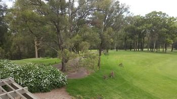 Villa Christian At Cypress Lakes Resort - Kingaroy Accommodation 25