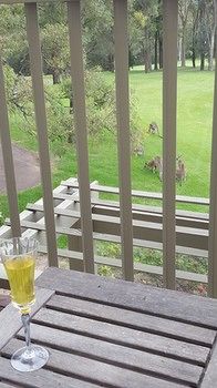 Villa Christian At Cypress Lakes Resort - Kingaroy Accommodation 31