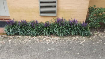 Villa Christian At Cypress Lakes Resort - Kingaroy Accommodation 46