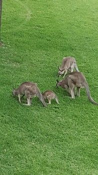 Villa Christian At Cypress Lakes Resort - Kingaroy Accommodation 53