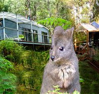 Huon Bush Retreats - Kingaroy Accommodation