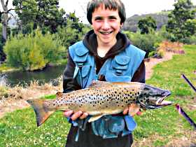 Huon Valley Caravan Park - Kingaroy Accommodation 1